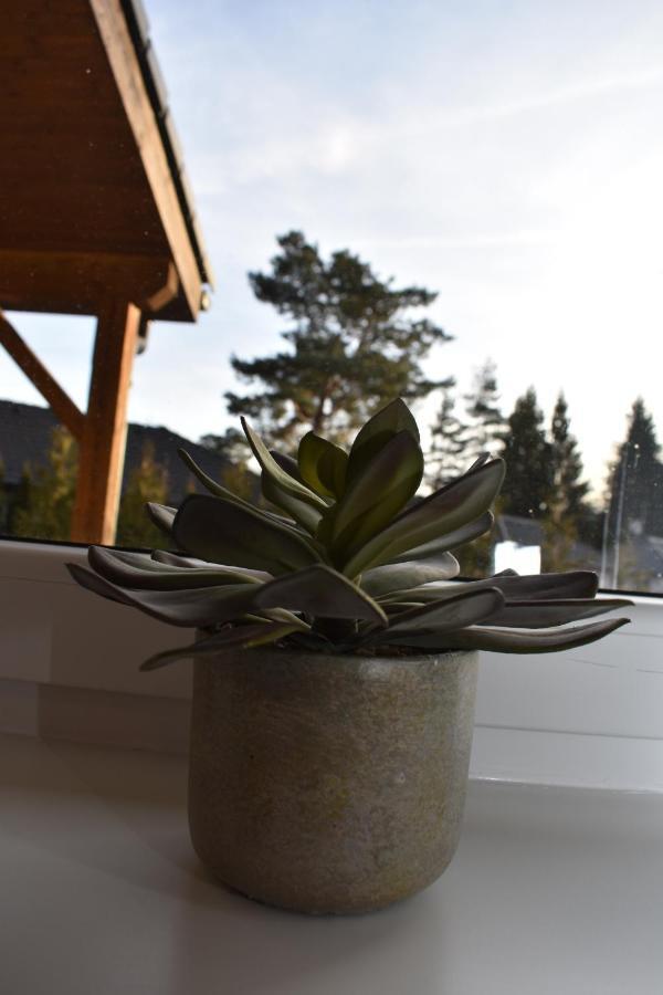 Sunny House Vila Lipno nad Vltavou Exterior foto